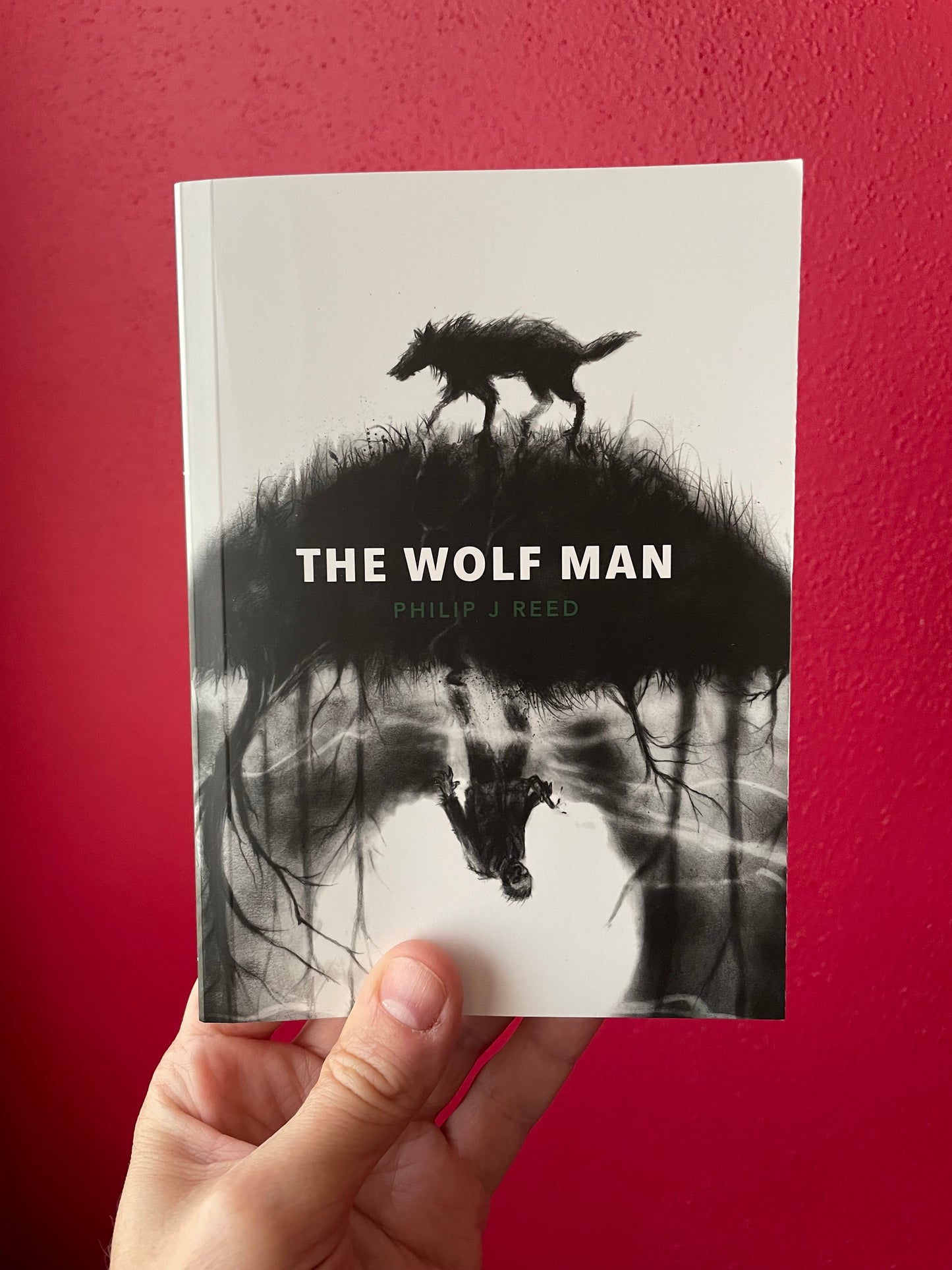 Front cover view of The Wolf Man by Philip J Reed