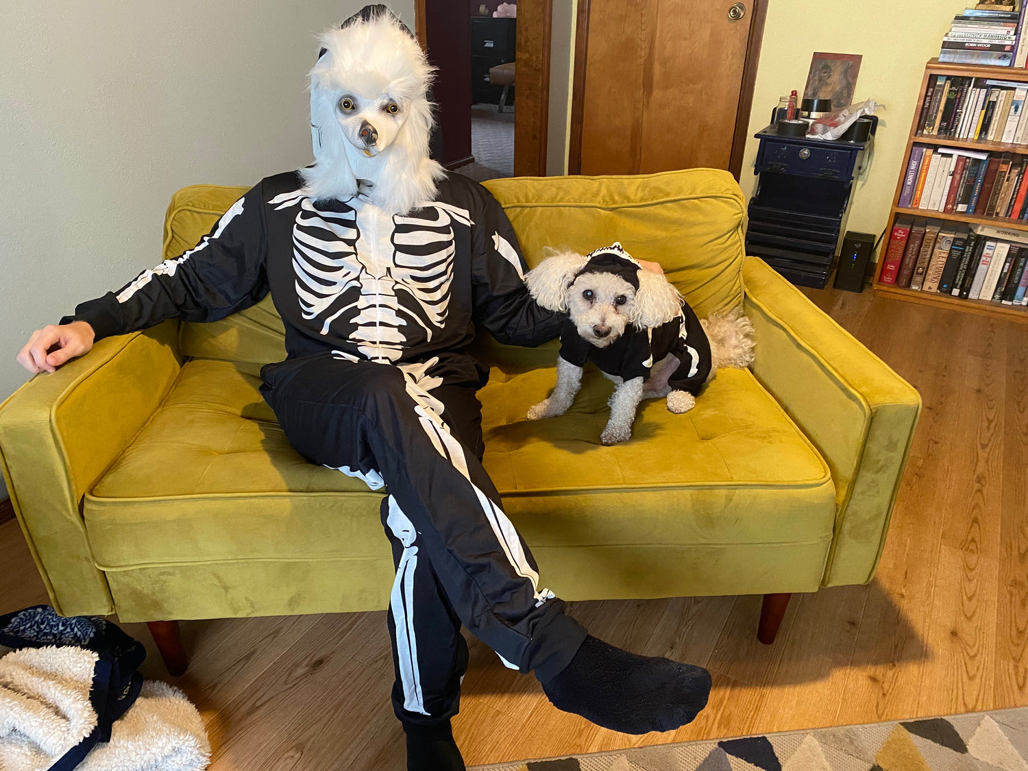 Photo of Nick and Jimmy the dog dressed in identical skeleton costumes