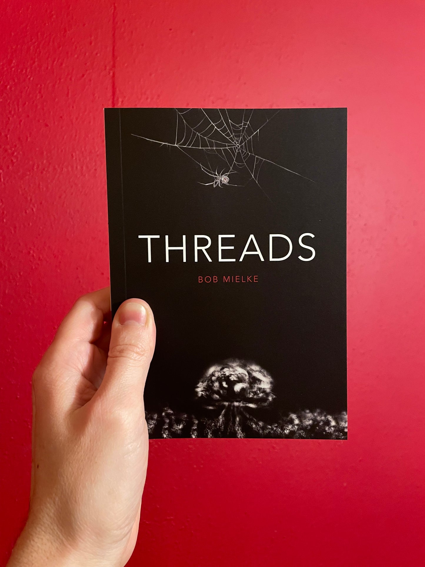 Image of hand holding a Threads book, with the cover facing the camera